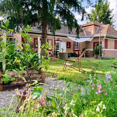 Villa Baglyos Vendeghaz Kulcspuszta Exterior foto