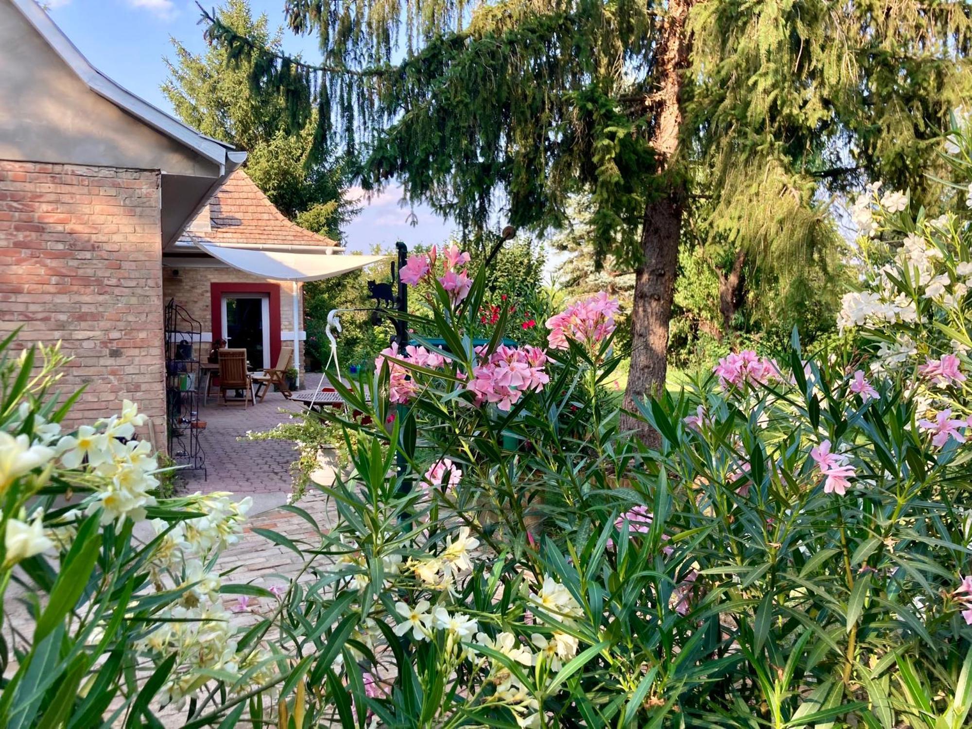 Ferienhaus Baglyos Vendeghaz *